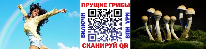Купить где  Чехов  Галлюциногенные грибы мицелий 